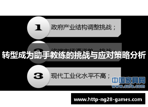 转型成为助手教练的挑战与应对策略分析